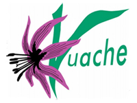 logo-vuache