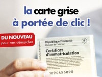 carte grise2