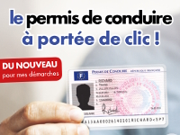 permis conduire2