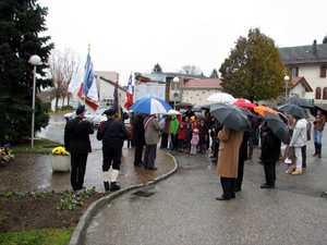11-nov